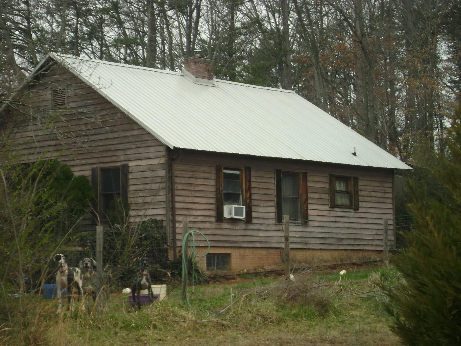 White metal roof on an old wood sided farmhouse, from a Asphalt Shingle Roof Repair job in Gorham